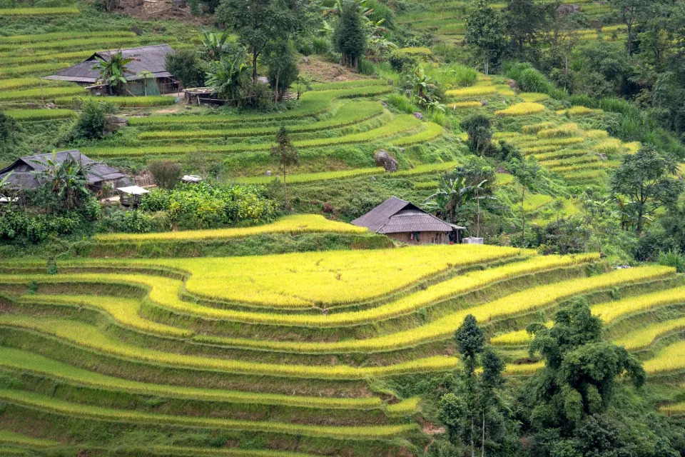 Kho gạo của Trần Tín